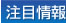注目情報